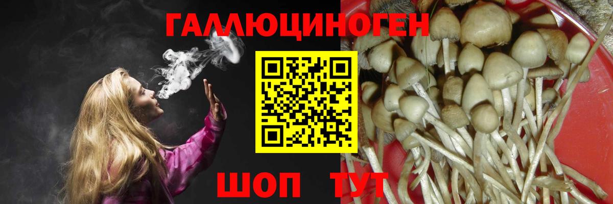 Галлюциногенные грибы Psilocybine cubensis Елизово