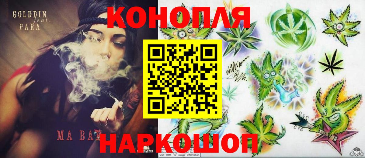 Каннабис план Елизово